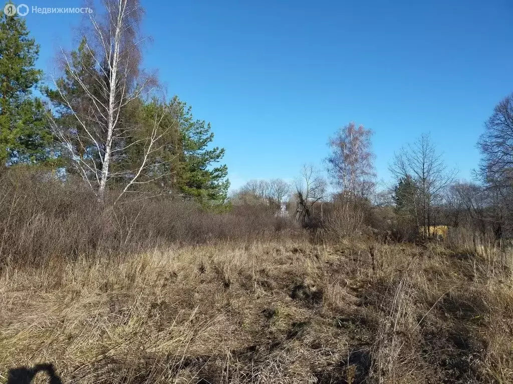 Участок в муниципальное образование Красноярское, село Романово (25 м) - Фото 0