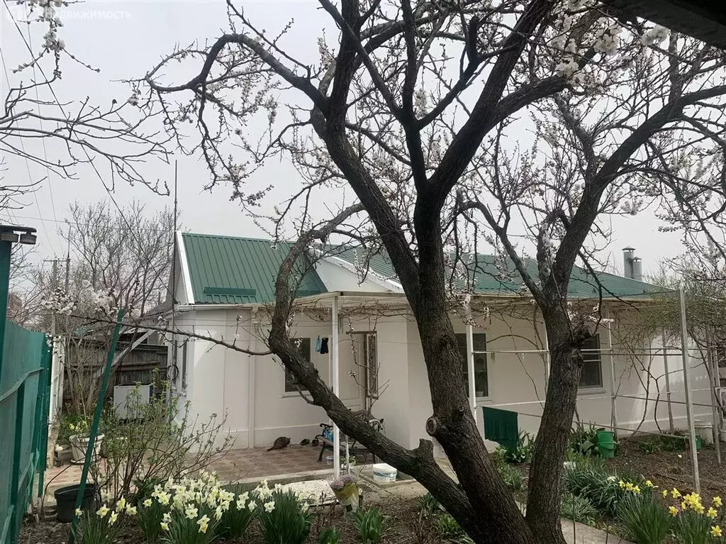 Дом в Краснодарский край, Армавир (50 м) - Фото 1