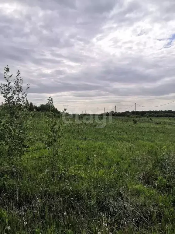Участок в Кемеровская область, Кемеровский район, Кирилловка СНТ  ... - Фото 0