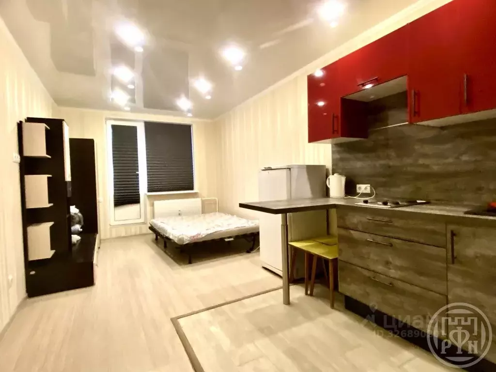 Студия Ленинградская область, Сертолово Всеволожский район, ул. ... - Фото 1