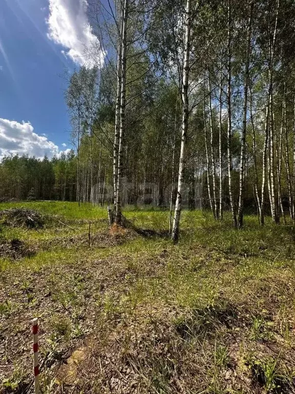 Участок в Ярославская область, Некрасовский муниципальный округ, ... - Фото 1