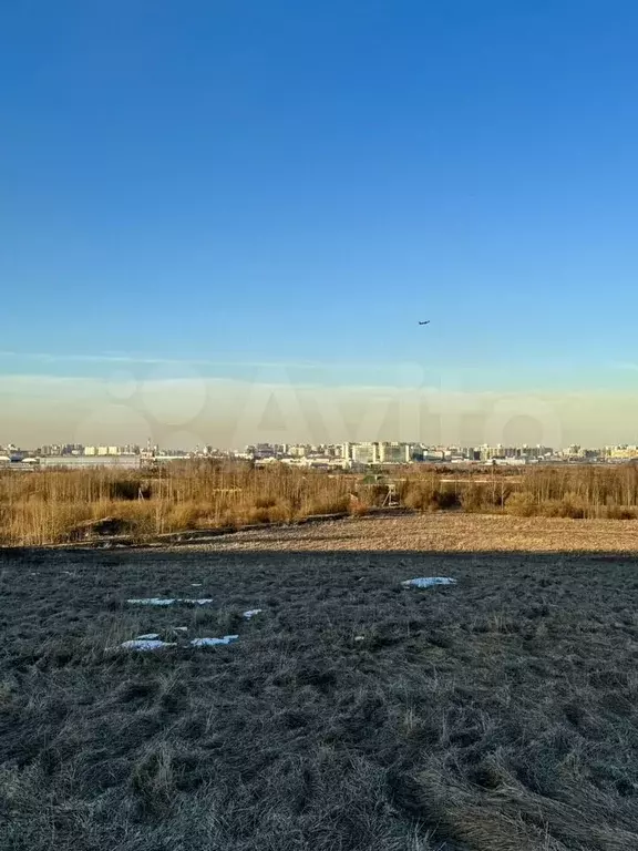 Участок 10 сот. (СНТ, ДНП) - Фото 0