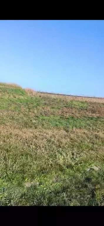 Участок в Краснодарский край, Усть-Лабинский район, Ладожское с/пос, ... - Фото 1