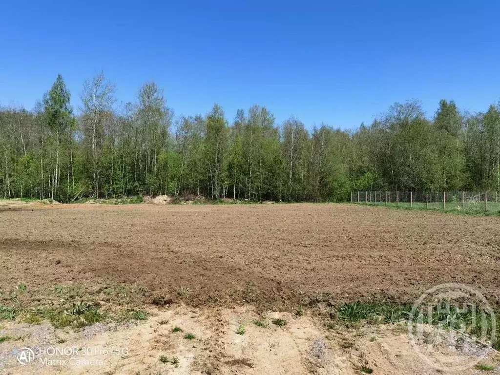 Участок в Ленинградская область, Кировский район, Суховское с/пос, ... - Фото 2