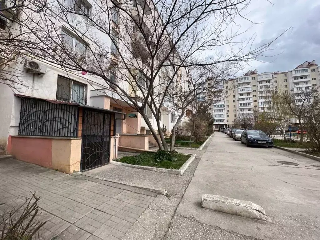 Помещение свободного назначения в Крым, Евпатория просп. Победы, 81 ... - Фото 0