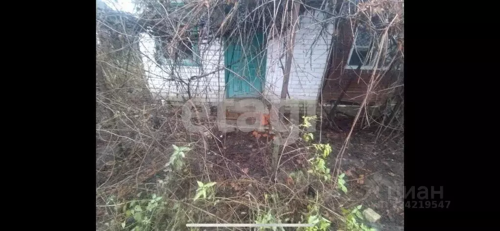 Дом в Брянская область, Климово рп ул. Некрасова (49 м) - Фото 2