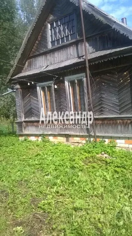 Дом в Псковская область, Порховский муниципальный округ, д. Ясно  (33 ... - Фото 1