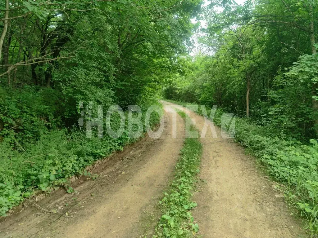 Участок в Краснодарский край, Северский район, Ильское городское ... - Фото 1