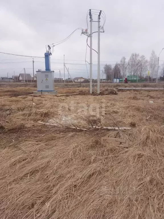 Участок в Владимирская область, Муромский район, д. Александровка ... - Фото 1