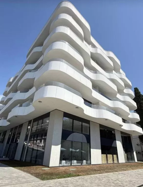 Помещение свободного назначения в Краснодарский край, Сочи Курортный ... - Фото 1