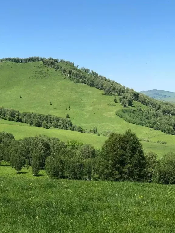 Производственное помещение в Алтайский край, Белокуриха Алтайская ул., ... - Фото 0