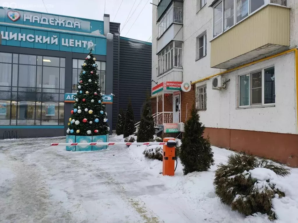 Торговая площадь (24.3 м) - Фото 2