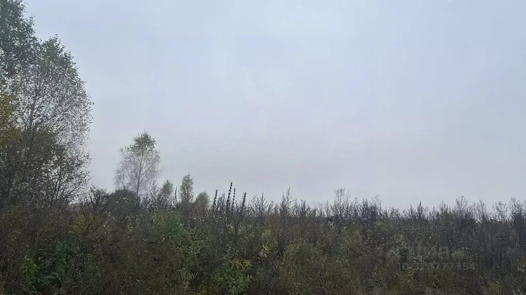 Участок в Московская область, Ступино городской округ, д. Толбино  ... - Фото 2