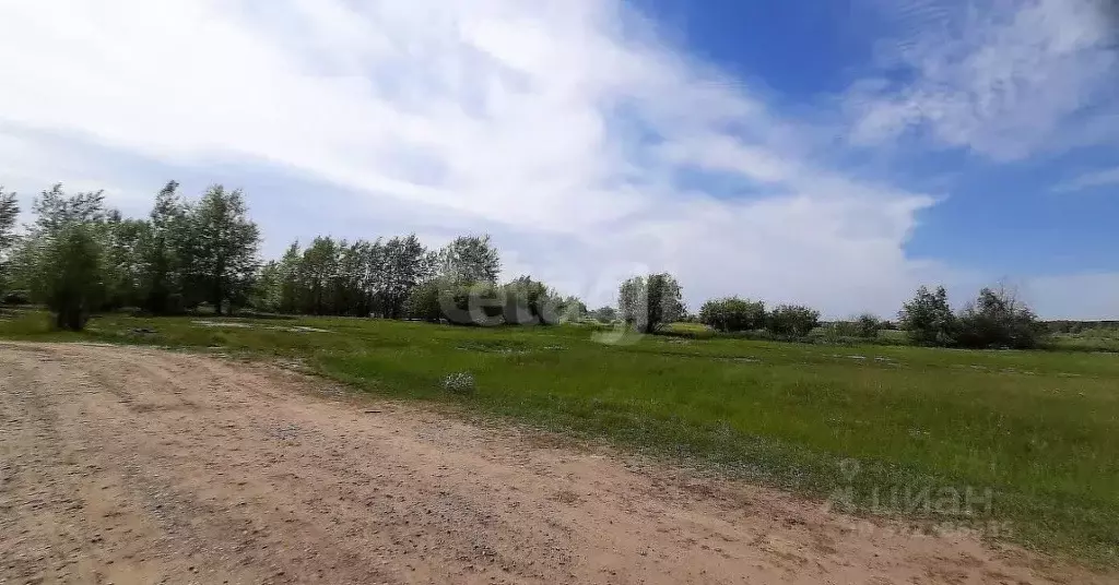 Участок в Тюменская область, Тюменский муниципальный округ, с. Борки  ... - Фото 1