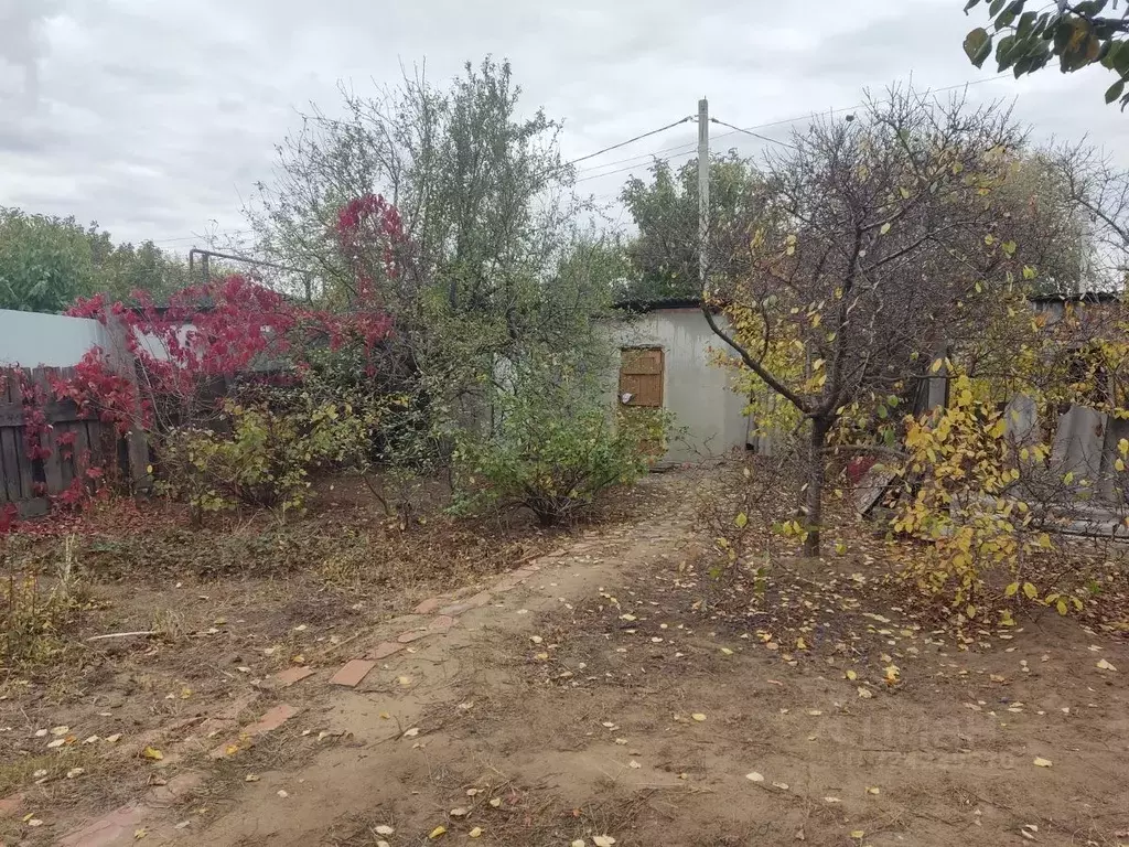 3-к кв. Волгоградская область, Волгоград Ряжская ул., 23 (63.1 м) - Фото 1