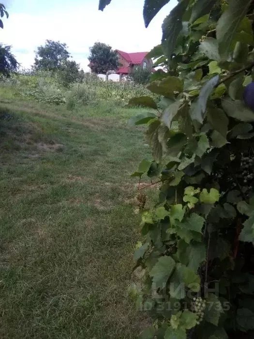 Участок в Московская область, Клин городской округ, д. Кононово  (15.0 ... - Фото 1
