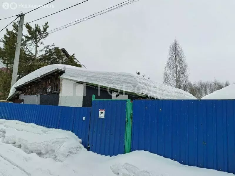 Участок в Новосибирск, СПК Сибирский Авиатор, 90 (4.2 м) - Фото 1