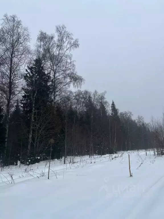 Участок в Московская область, Солнечногорск городской округ, д. ... - Фото 0