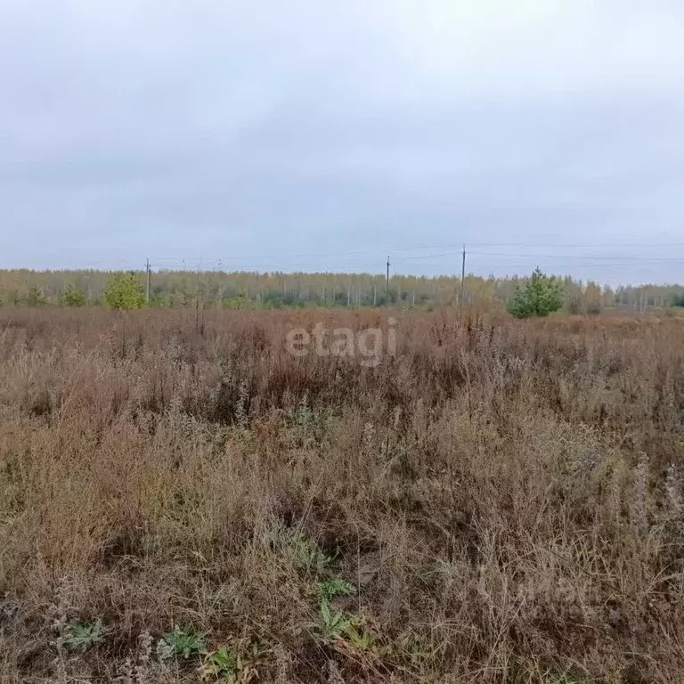 Участок в Нижегородская область, Выкса ул. Бородачевой (9.5 сот.) - Фото 0