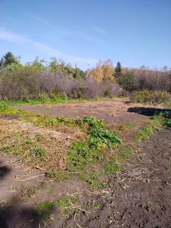 Участок в Омская область, Омск СОСН Монтажник тер., аллея 3-я (10.0 ... - Фото 2