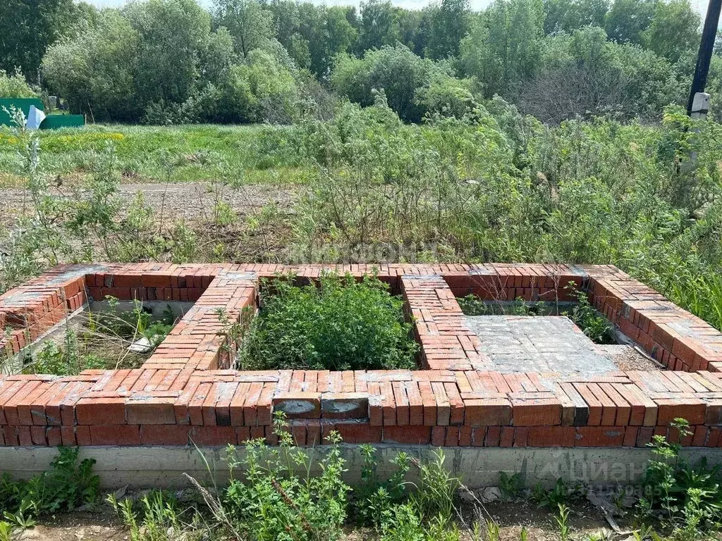 Участок в Новосибирская область, Новосибирский район, Толмачевский ... - Фото 0