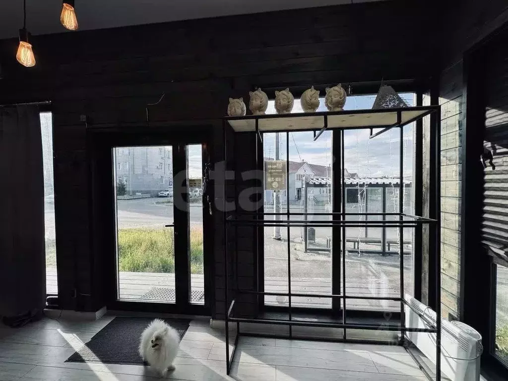 Торговая площадь в Ямало-Ненецкий АО, Салехард Ямальская ул., 18 (21 ... - Фото 2