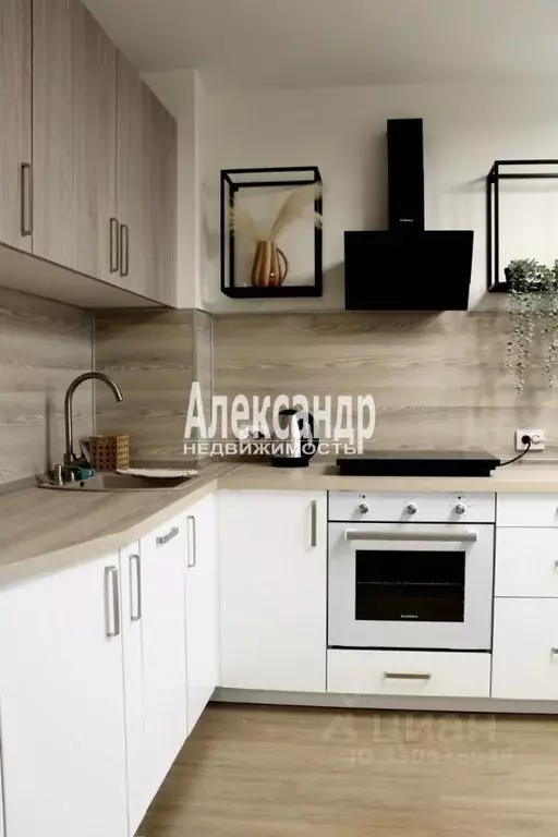 2-к кв. Санкт-Петербург ул. Дыбенко, 5к1 (50.0 м) - Фото 1