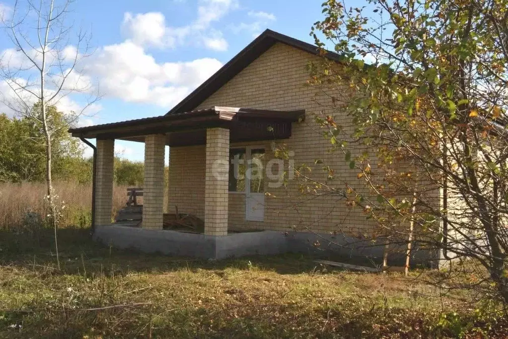 Дом в Воронежская область, с. Новая Усмань ул. Октябрьская, 50А (91 м) - Фото 0