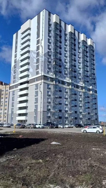 Студия Тамбовская область, Тамбов ул. Агапкина, 2К (30.3 м) - Фото 1