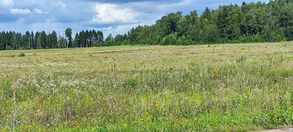 Участок в Московская область, Солнечногорск городской округ, д. Мостки ... - Фото 0