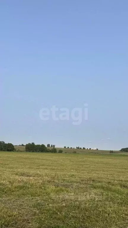 Участок в Тульская область, Тула городской округ, д. Прилепские ... - Фото 2