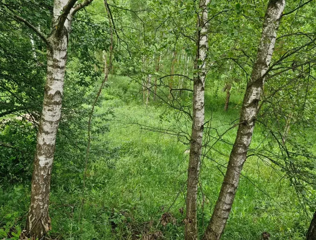 Участок в Московская область, Ступино городской округ, д. Шугарово ул. ... - Фото 2