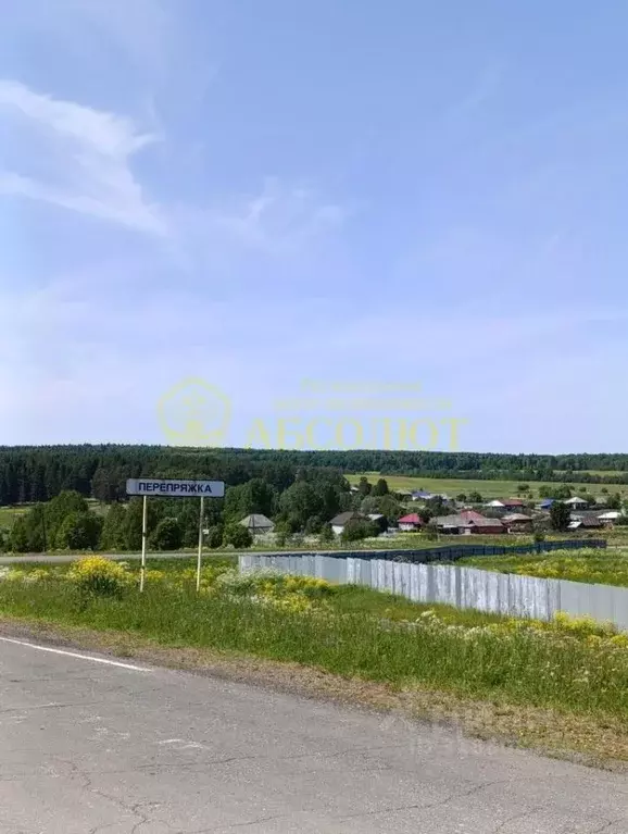 Участок в Свердловская область, Нижнесергинский район, Михайловское ... - Фото 0