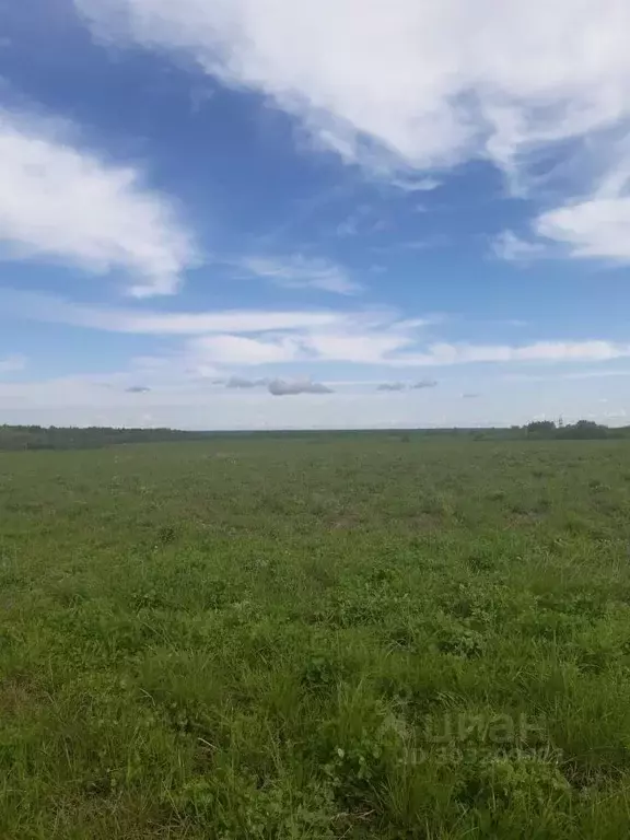 Участок в Московская область, Клин городской округ, Калина дп ул. ... - Фото 0