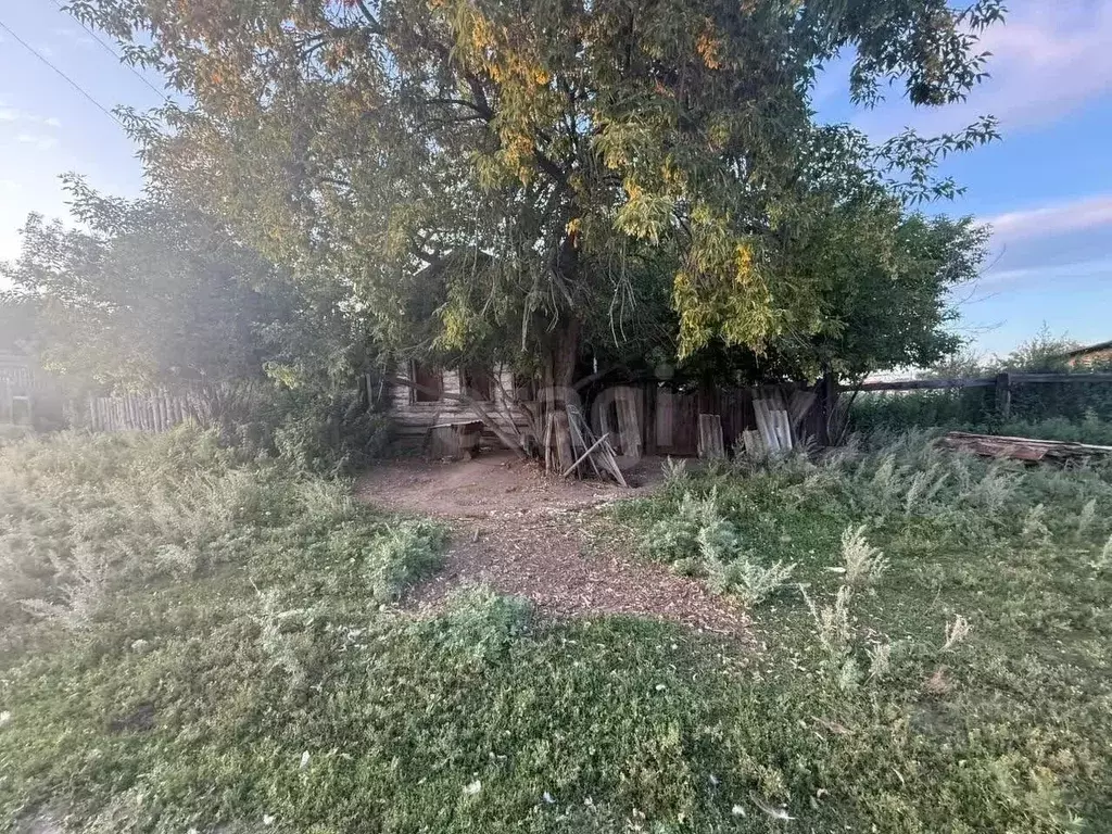 Дом в Курганская область, Катайский муниципальный округ, с. Боровское ... - Фото 1