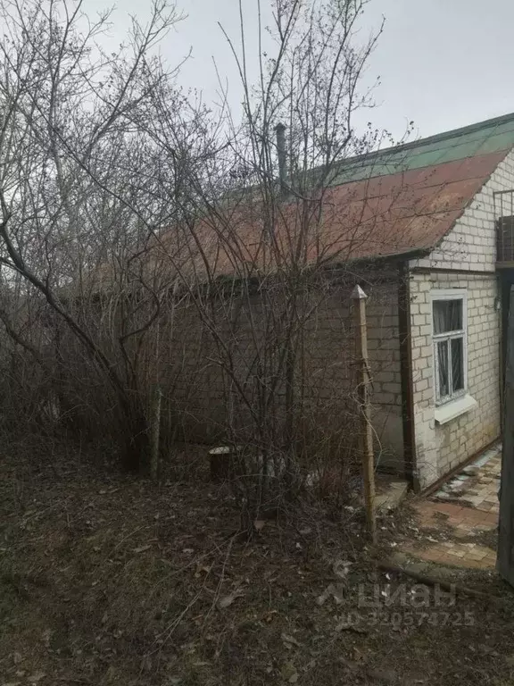 Дом в Белгородская область, Яковлевский муниципальный округ, Сосновая ... - Фото 0