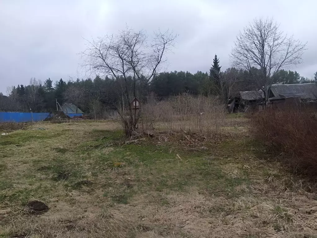 Участок в Ленинградская область, Лужский район, Толмачево городской ... - Фото 1