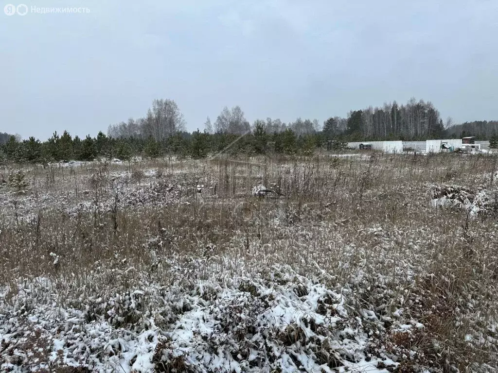 Участок в Красноярский край, Емельяновский муниципальный округ, СТ ... - Фото 1