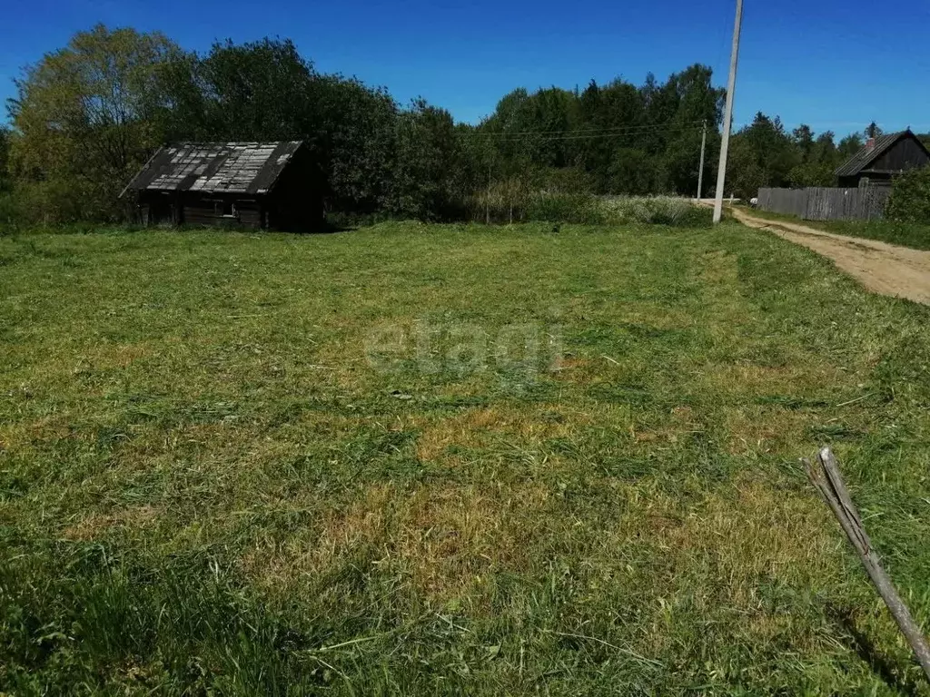 Участок в Вологодская область, д. Шелыгино  (14.13 сот.) - Фото 0