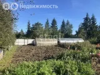 Участок в Курганская область, Кетовский муниципальный округ, СО ... - Фото 2