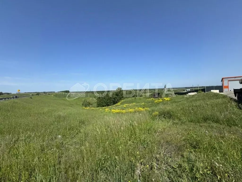 Участок в Тюменская область, Тюменский район, с. Кулаково  (10.2 сот.) - Фото 1