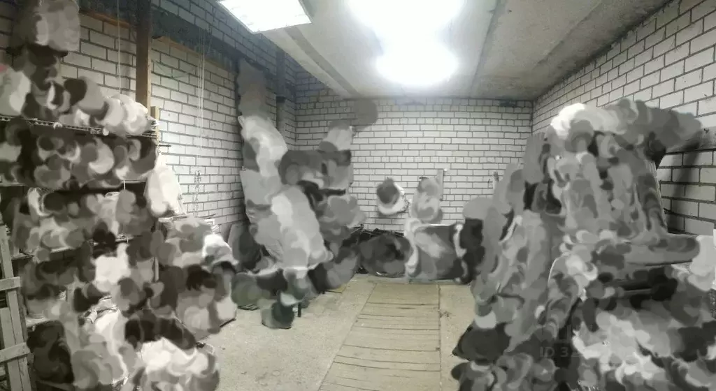 Гараж в Московская область, Солнечногорск городской округ, Андреевка ... - Фото 1