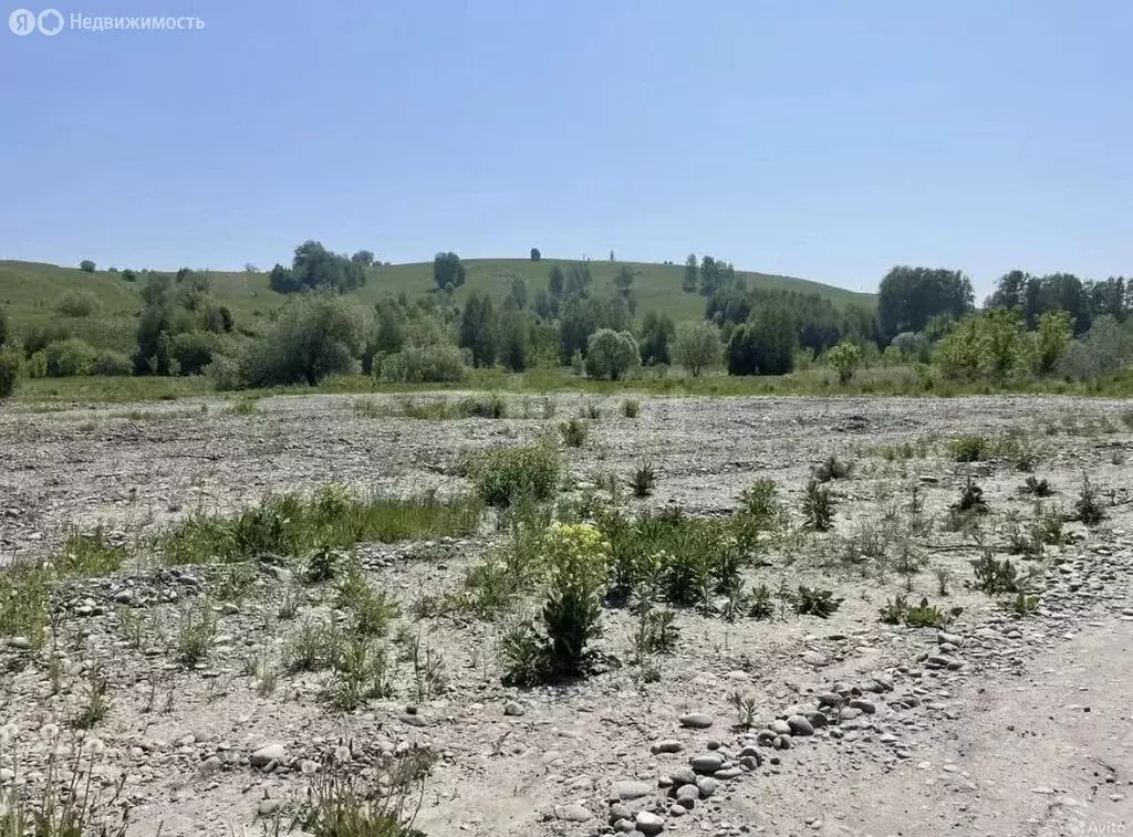 Участок в Майминский район, село Майма (47 м) - Фото 1