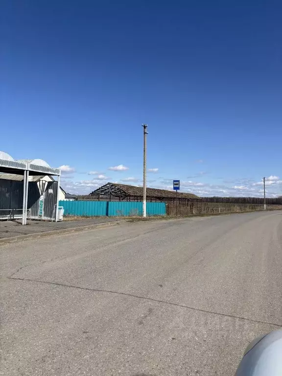 Участок в Татарстан, Лаишевский район, Егорьевское с/пос, с. Березовка ... - Фото 1