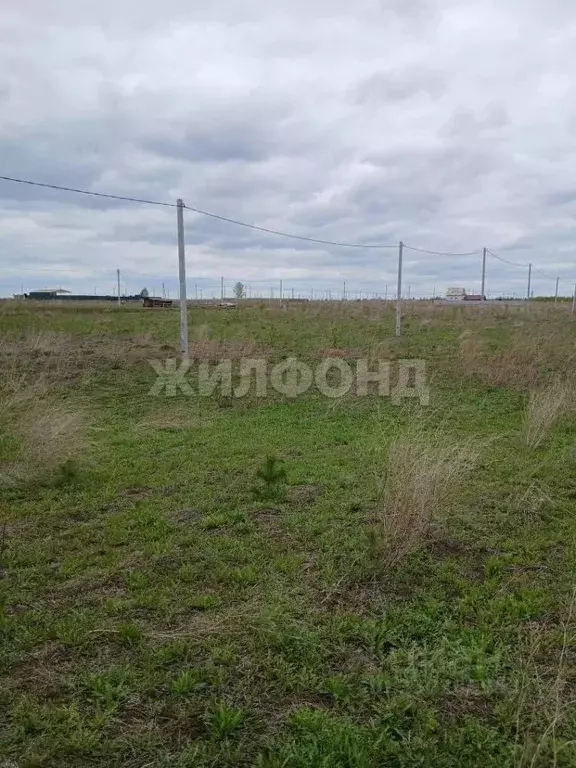 Участок в Новосибирская область, Колывань рп ул. Бунина (10.0 сот.) - Фото 1