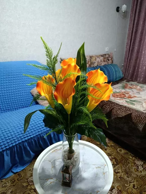 1-к кв. Омская область, Омск просп. Карла Маркса, 50а (31.0 м) - Фото 2