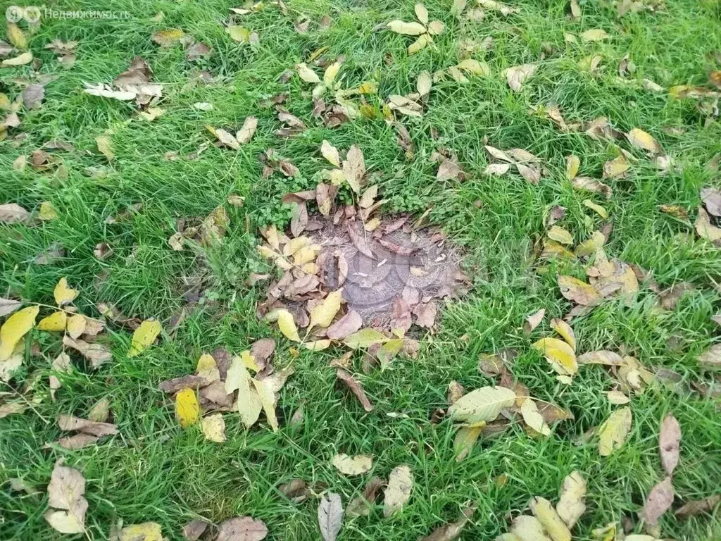 Участок в Георгиевск, улица Гагарина (7 м) - Фото 2