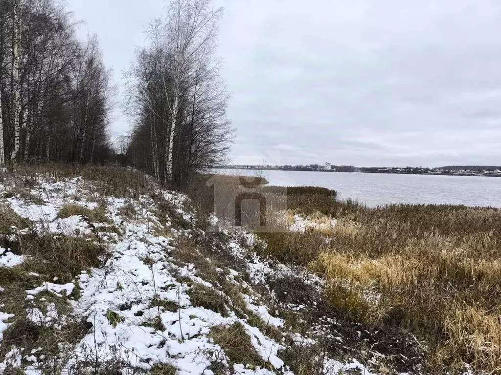 Участок в Ярославская область, Некрасовское с/пос, д. Новые Ченцы  ... - Фото 0