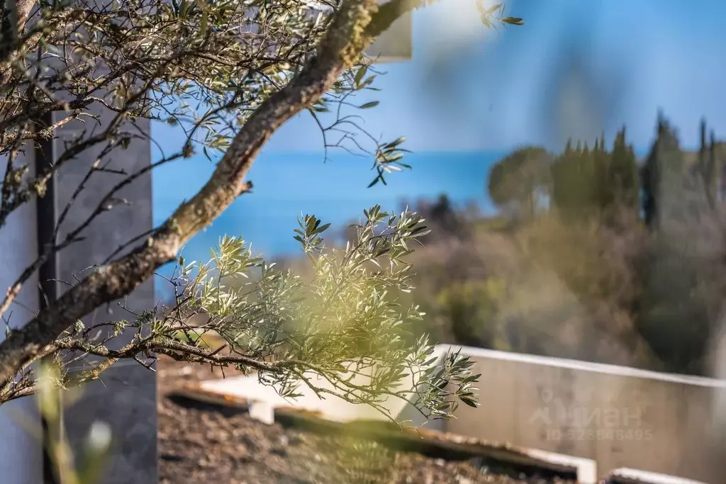 Дом в Крым, Алушта муниципальный округ, пос. Семидворье  (272 м) - Фото 2