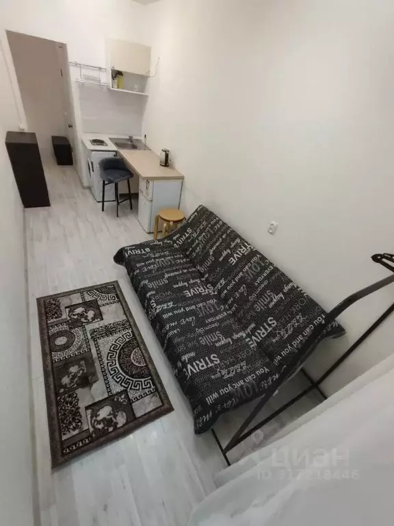Студия Ленинградская область, Мурино Всеволожский район, аллея ... - Фото 1